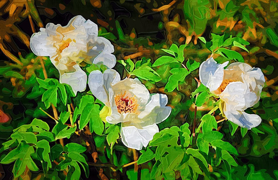牡丹花油畫