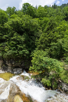 山间溪流 溪水潺潺