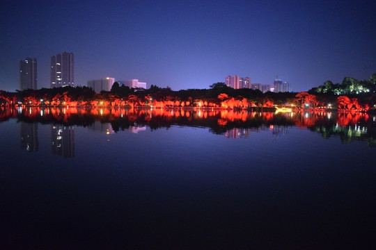 佛山千灯湖夜景