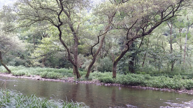 五泄风景