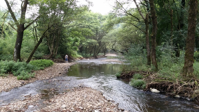 五泄风景