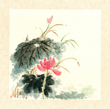 國(guó)畫(huà)荷花