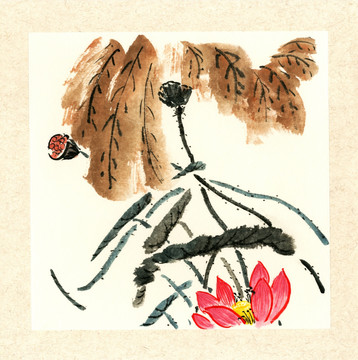 國(guó)畫(huà)荷花