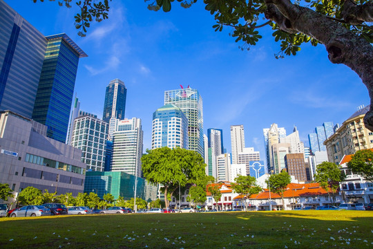 新加坡城市绿地