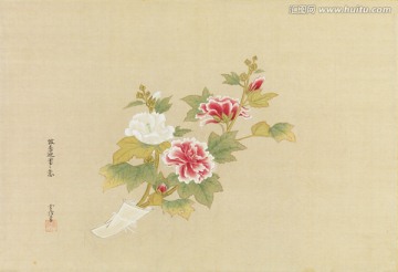 日本花卉风景画 高清品质