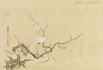 日本花鳥畫 畫廊品質(zhì)