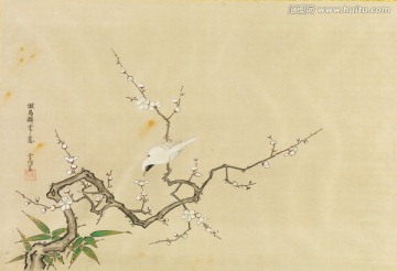 日本花鸟画 画廊品质