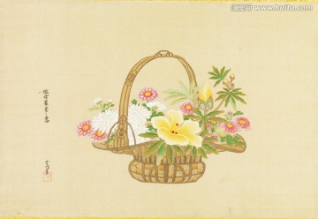 日本花草风景画 高清品质