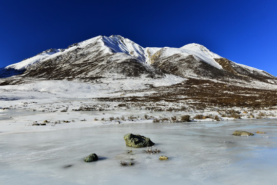 岗什卡雪山