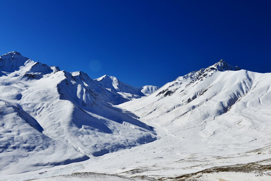 岗什卡雪峰