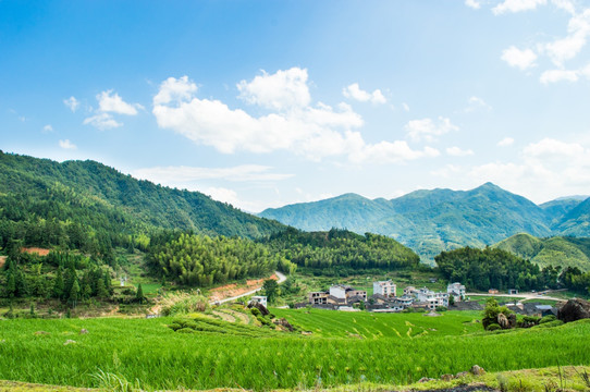 山村风景