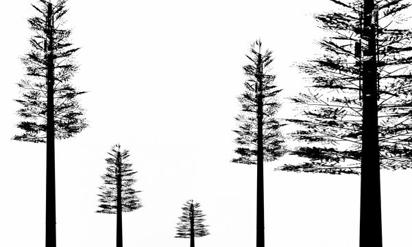 電視背景墻 合層