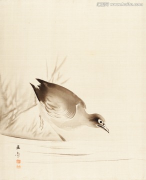 日本花鳥裝飾畫 畫廊品質