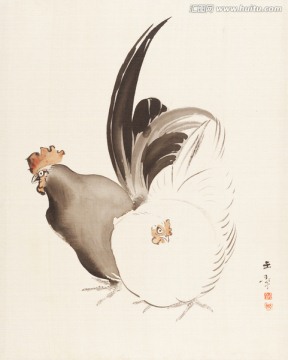 日本花鳥裝飾畫 畫廊品質