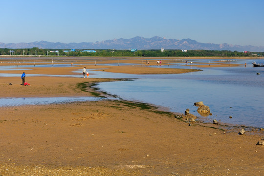 鸽子窝公园海滩