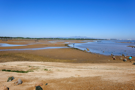 鸽子窝公园海滩