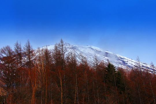 富士山