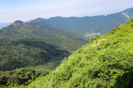 五岳独秀