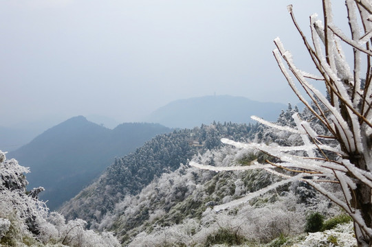 衡山雾凇