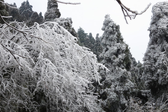 南岳雾凇