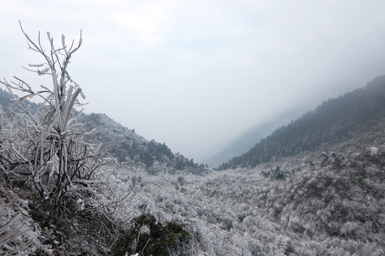 南岳雾凇