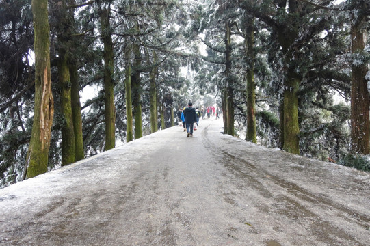 雪地风光