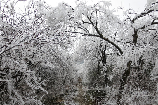 衡山雪景