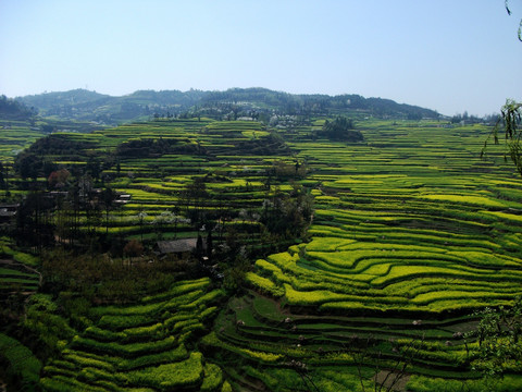 清镇山区梯田