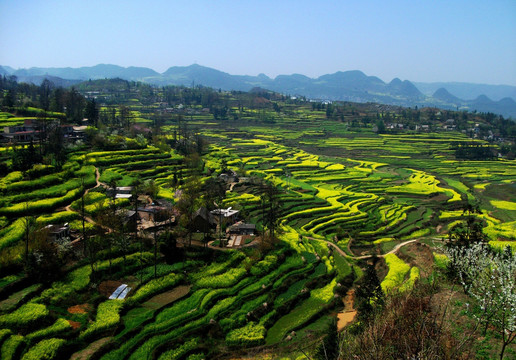 清镇山区梯田