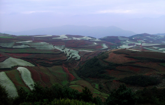 云南红土地