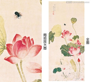吳應(yīng)貞 荷花國畫