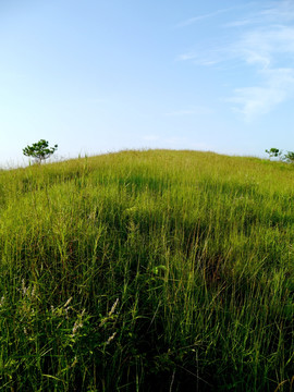 小山