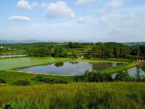 山区养鱼池