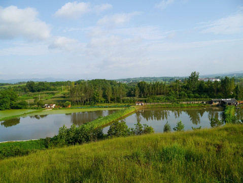 山区养鱼池