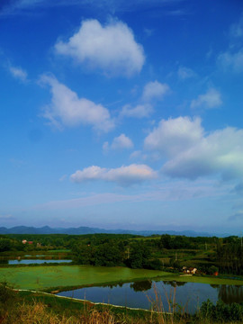 山区养鱼池