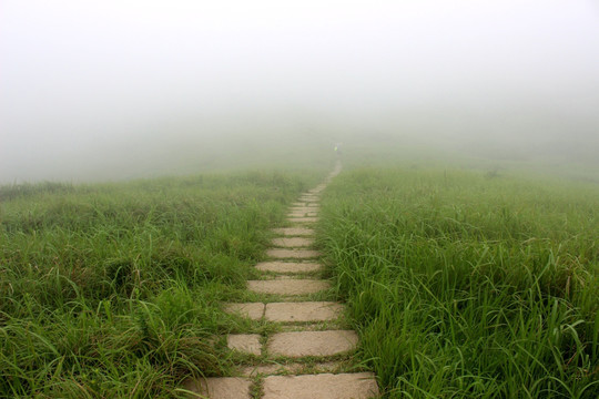 大嵛山岛