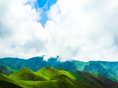 高山云雾