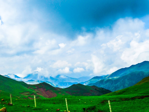 高山云雾