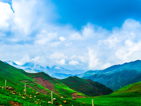 高山云雾