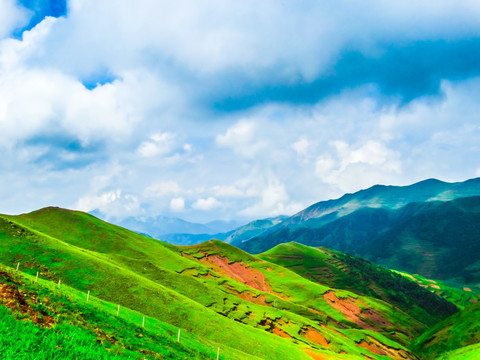 高山云雾