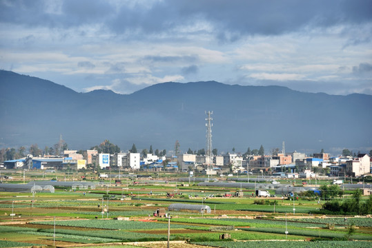 乡村景观