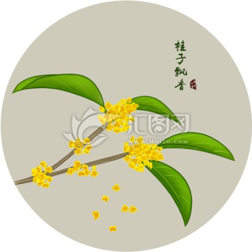 桂花