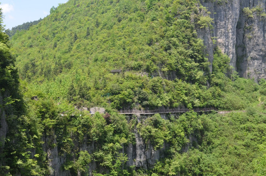 峡谷中的绿荫小路