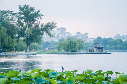 夏日明湖