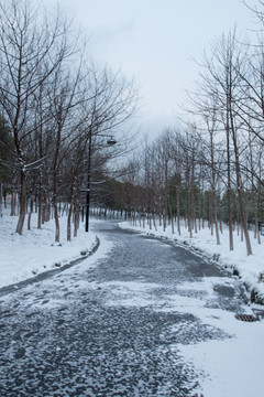 林间雪景