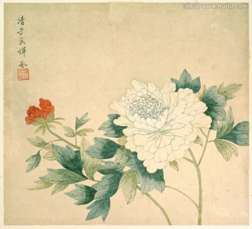 清 惲冰 牡丹圖