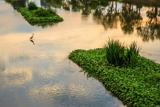 生态河道