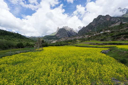 扎尕那景区 扎尕那村