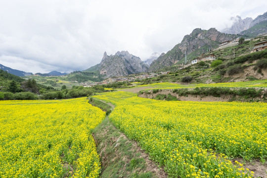 扎尕那景区 扎尕那村