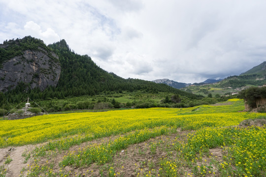 扎尕那景区 扎尕那村